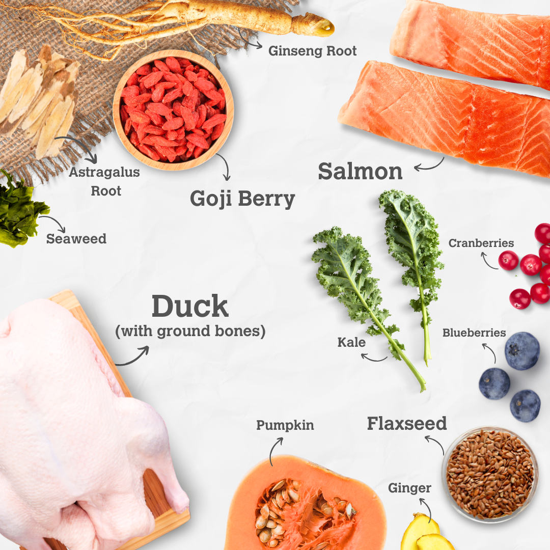 Salmon & Duck Harmony Recipe - Boost with Ginseng