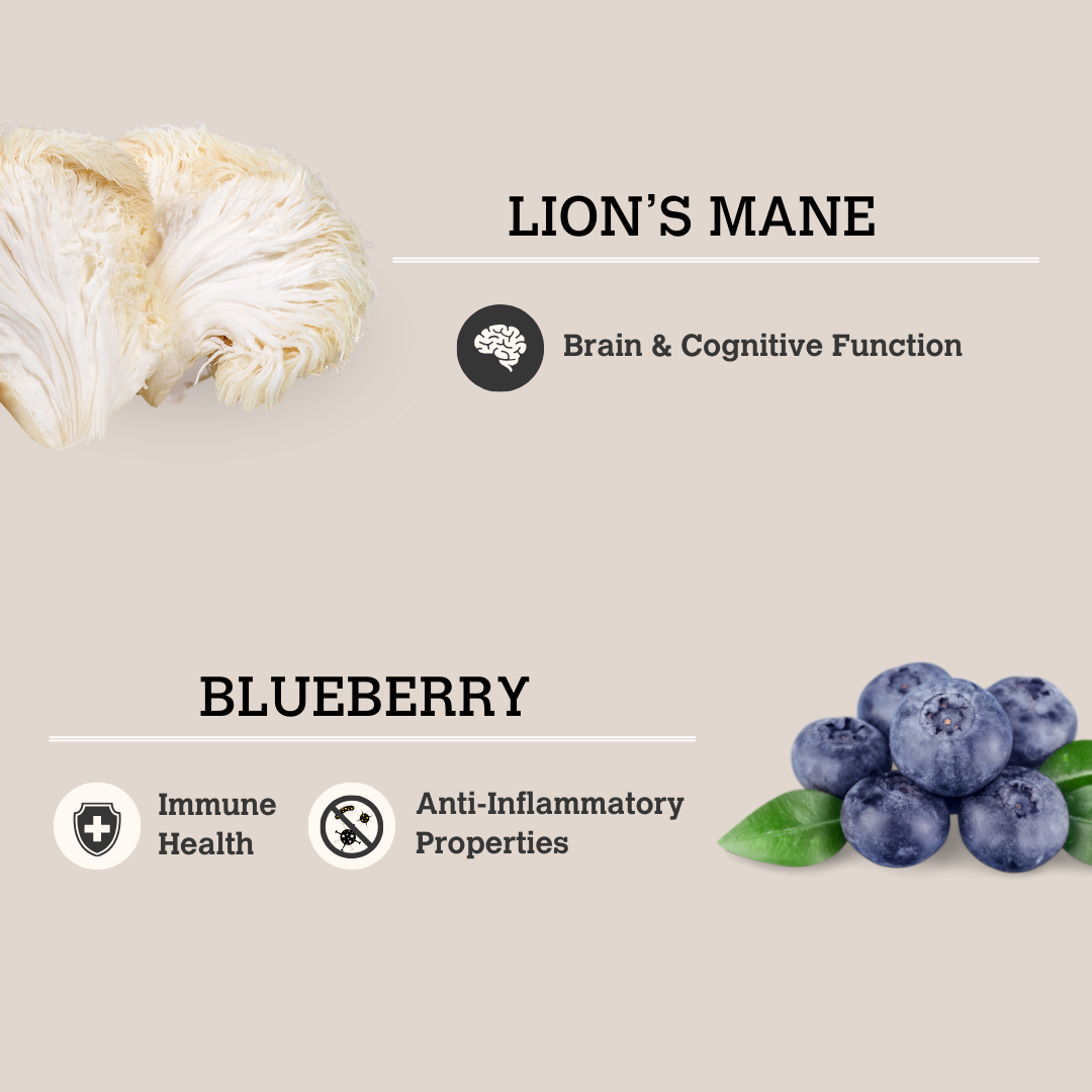 Lion's Mane & BlueBerry Mushroom Bone Broth