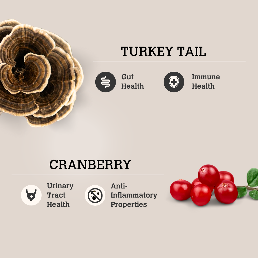 Turkey Tail & Cranberry Mushroom Bone Broth