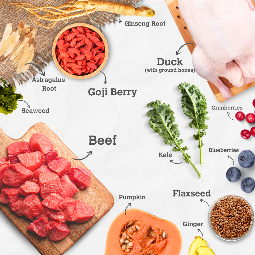 Beef & Duck Enrichment Recipe - Boost with Goji Berry