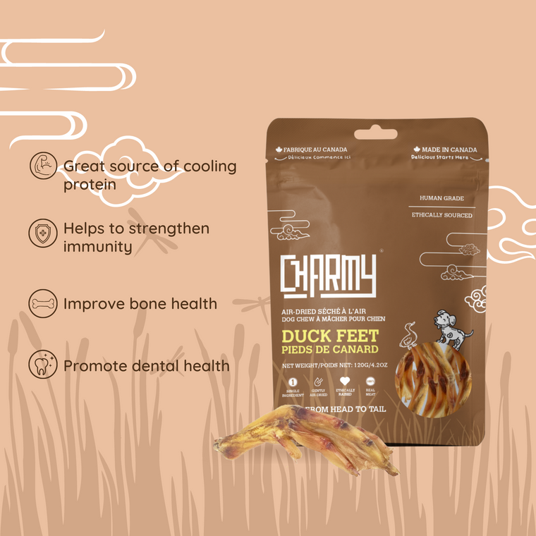 DUCK FEET